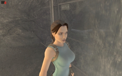 Tomb Raider Anniversary