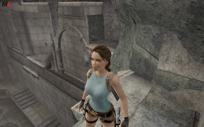 Tomb Raider Anniversary