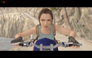 Tomb Raider Anniversary