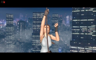 Tomb Raider Anniversary