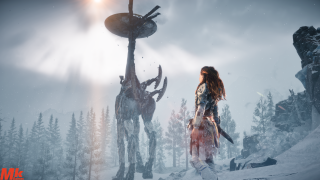 Horizon Zero Dawn CE - The Frozen Wilds