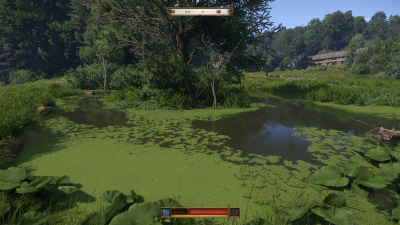Kingdom Come Deliverance 2