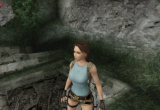 Tomb Raider Anniversary