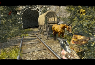 Call of Juarez Gunslinger