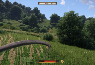 Kingdom Come Deliverance 2
